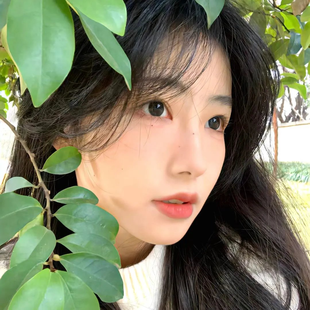 刀口舐血